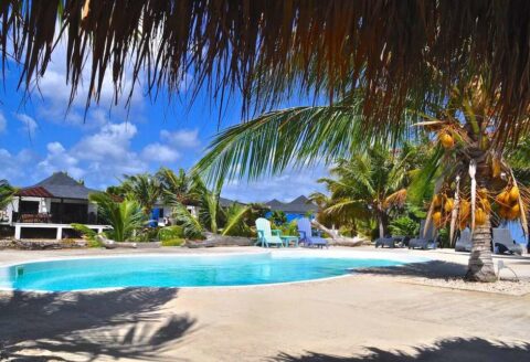 Deals, Vakantie, Caribbean, Bonaire